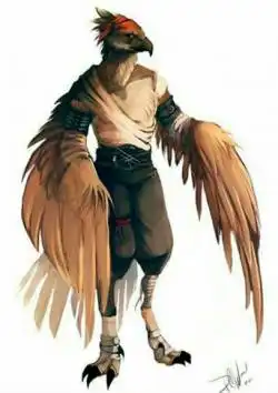 Aarakocra monk dnd monje